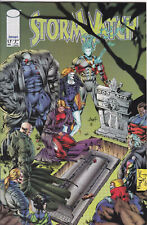 Stormwatch #17,  Vol. 1 (1993-1997) Image Comics picture