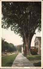 Lenox Massachusetts MA Main Street 13709 Detroit Publishing c1910 Postcard picture