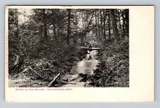 MI- Michigan, Scene In The Woods, Macatawa Bay, Antique, Vintage Postcard picture