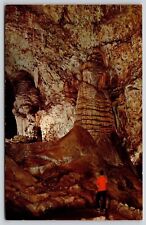 Rock Of Ages Carlsbad Caverns National Parknew Mexico Nm Tex Helm Unp Postcard picture