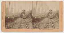 WASHINGTON SV - Logging Train - BW Kilburn c1896 picture