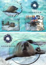 2~4X6 Postcards Virginia Beach VA Virginia AQUARIUM & Marine Science HARBOR SEAL picture