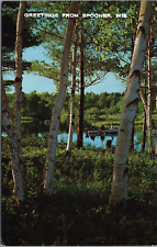 Spooner Wisconsin Greetings Lake Fishing in Boat Through Birch Trees c1960's picture
