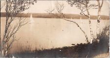 c1915 Castine Harbor Sailboats Birch Trees Maine ME RPPC Real Photo Postcard picture