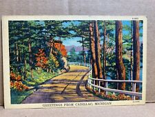 Greetings from Cadillac Michigan Linen Postcard No 878 picture