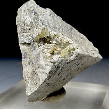 SS Rocks - Weloganite (Francon Quarry, Montreal, Quebec, Canada) 28g picture