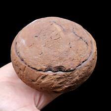 1935Gr Rare Natural Septarium Dragon's Stone Septarian Mineral Ball Shape picture