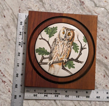 Tile Wall Decor Owl Vintage SQ. Wood Framed Round Ceramic Cabin Brown & White picture
