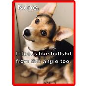 Funny Corgi  Dog BS Angle  Refrigerator / Tool Box  Magnet picture