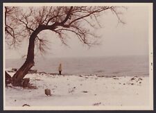 1976 Vintage Color Photo Ocean Beach Lake Shore Lonely Man Huge Tree picture