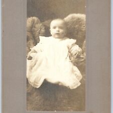 c1900s Clyde, OH Baby Sitting in Fur Tall Cabinet Card Photo Antique Ohio 1G picture