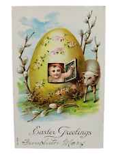Easter Greetings Baby in Egg Pussy Willow Lamb Spring 1910s Postcard Used picture