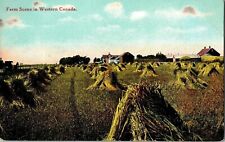 Scene Western Canada Private Post Card Antique Postcard Unposted Divided Back picture