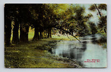 c1909 DB Postcard Mifflinburg PA Pennsylvania The Willows Buffalo Creek View picture
