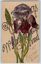 Winnebago Minnesota MN Postcard Greetings Embossed Flowers Leaves 1910's Antique picture