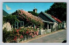 Nantucket Island MA-Massachusetts, Rose Covered Cottage, Vintage c1962 Postcard picture