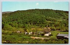 Virginia Syria Graves Mountain Lodge Vintage Postcard picture