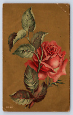 Vintage Postcard Greeting Floral 1911 picture