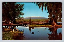 Hilo HI-Hawaii, Mauna Kea, Water, Mountain, Vintage Postcard picture