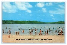 White Beauty View Resort Lake Wallenpaupack Greentown PA Pennsylvania G9 picture