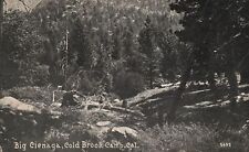 1924 Big Cienaga Cold Brook Trail Camp Condor Peak California, Vintage Postcard picture