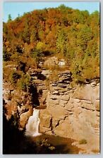 North Carolina Linville Falls Chimneys River Aerial View Forest Vintage Postcard picture