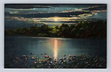 FL-Florida, Moonlit Lake Scene in Southern Florida, Antique Vintage Postcard picture