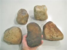 5 Large FLINT CHERT Stones for Arrow Spearhead Knapping 15-18 Lbs.  picture