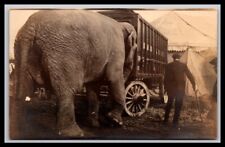 RPPC  Barnum & Bailey  Elephant & Trainer Near a Circus Tent and Wagon picture