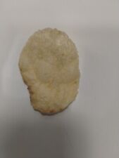 Alien Head Potato Chip picture