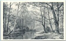 Postcard - Woods in Riverfront picture