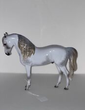 Peter Stone 2023 “Staring Gaze of Faith” Aoth Dapple Grey Andalusian Customized picture