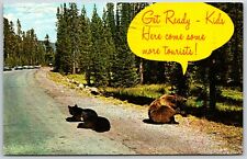 Get Ready Kids, Here Come More Tourists, Bears, Montana - Postcard picture