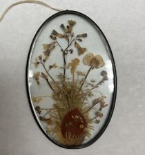Vintage Pressed DRIED FLOWERS Oval GLASS Decorative Wall Hanging Art SUNCATCHER picture