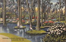 D2045 Azaleas in Sunken Garden Oriental Gardens Jacksonville FL Linen PC Tichnor picture