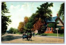 c1910's Job's Lane Horse And Wagon  Southampton Long Island NY Antique Postcard picture
