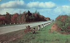 Country Highway Road in Autumn - Fall Colors Postcard picture