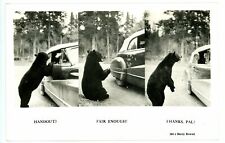 1940s? RPPC - Beggar Bear, Handout-Fair Enough-Thanks Pal, Jasper Natl Park #1 picture
