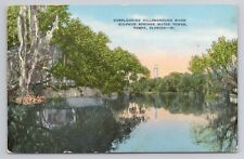 Hillsborough River Sulphur Springs Water Tower Tampa Florida Linen Postcard picture