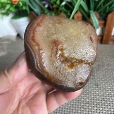 370g Bonsai Suiseki-Natural Gobi Agate Eyes Stone-Rare Stunning Viewing 9839 picture
