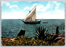 Arab Dhow Boat Off The African Coast Postcard Stamped picture