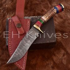 CUSTOM MADE DAMASCUS STEEL HUNTING SKINNING EDC KNIFE STAG/ANTLER HANDLE 3214 picture