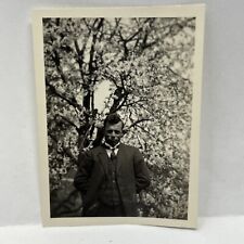 Vintage Photo 1934 Man Posed Tree picture