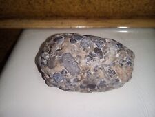 Igneous Rock River Polished. Natural Out Of Water. picture