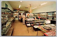 Postcard - Gemstones of Scottsdale, Arizona - Rock Shop, c 1950s, Unposted (M6r) picture