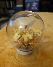 Taxidermy White Butterfly Glass Globe Vintage 4