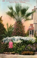 Postcard - Paul de Longpre's Garden Hollywood Near Los Angeles, California 0375 picture