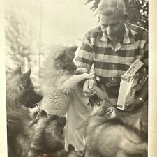 VINTAGE PHOTO Man with Keeshond Dogs puppies, Ken-L Dog Treats Original Snapshot picture