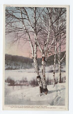 c1910 Detroit Photostint postcard snow scene and Whittier verse [s.5230] picture