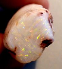 Genuine Australian Opal Fossil Belemnite Pipe Specimen 46ct multicolours (2912) picture